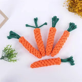 Carrot Rope Chew Toy