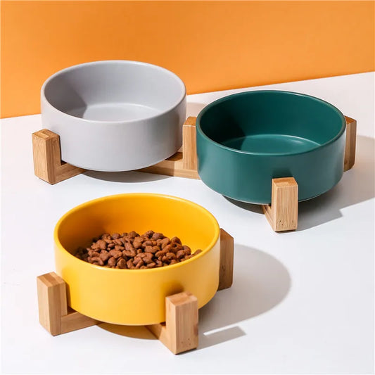 Smart Dog Bowl