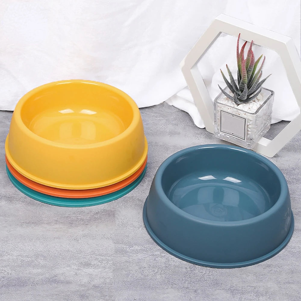 lightweight Dog Bowl