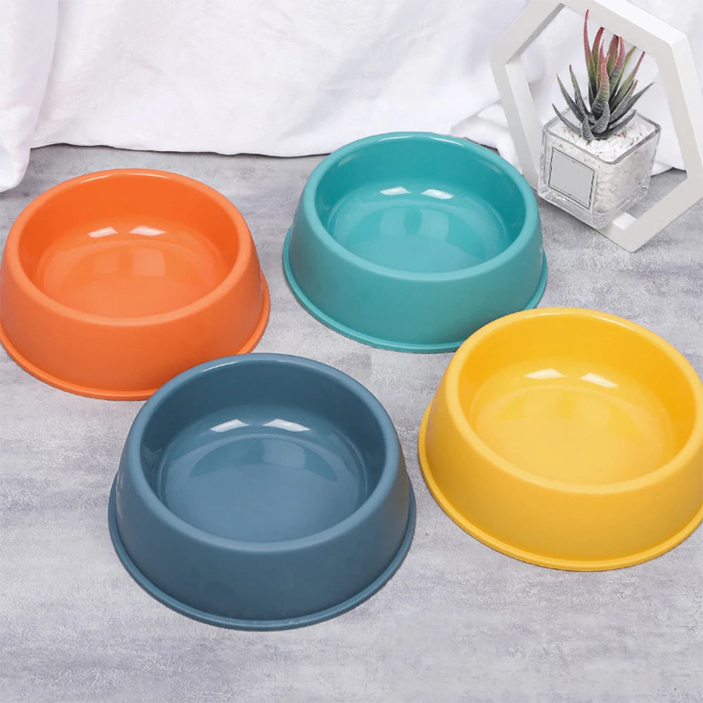 lightweight Dog Bowl