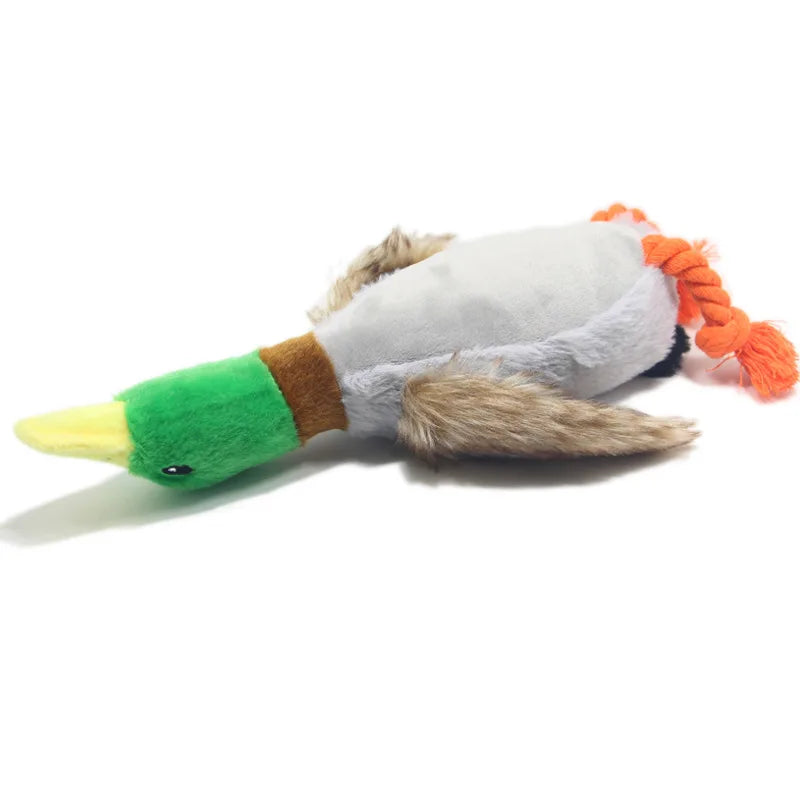 QuackTastic Duck Chew Toy